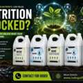 Weak Plant Development In Critical Stage? Choose Nano Fertilizers — Buy Today