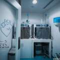 Emergency Cat Vet Clinic Dubai | 24/7 Urgent Cat Care