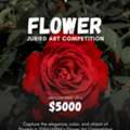 Flower Art Paintings? Enter TERAVARNA’s Contest Now