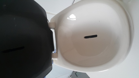 Riyadh, Collectibles, SAR 50,  Coin