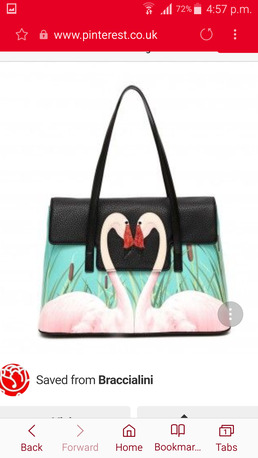 Riyadh, Purses & Wallets, SAR 150,  Barcillini Swan Ladies Bag