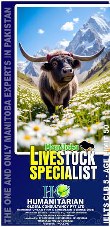 Karachi, Immigration, Canadian Skilled Immigration For Expats