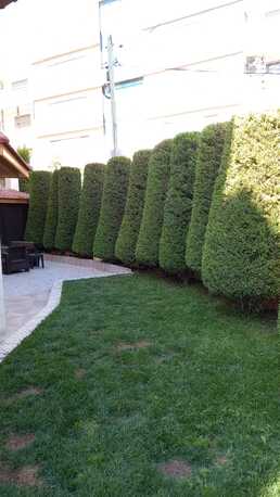 Amman, Apartments/Houses, JOD 12000/year,  Furnished,  2 BR,  Ground Fully Furinshed 2B Master Apartment With Garden In Der Ghbar 00962777688956