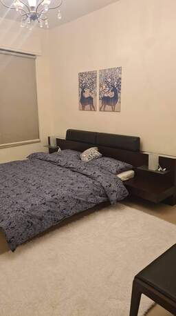 Abdoun, Apartments/Houses, JOD 12000/year,  Furnished,  2 BR,  Fully Furnished Two Bedroom With Balcony Apartment In Abdoun 00962777688956