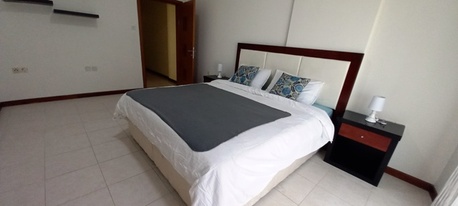 Zinj, Apartments/Houses, BHD 330/month,  Furnished,  2 BR,  Fully Furnished Apartment.  3 Bath Rooms. Pool.Gym.Parking,Security  : TONY