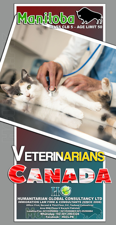 Karachi, Immigration, Manitoba Immigration Nominee Program Canada Visa