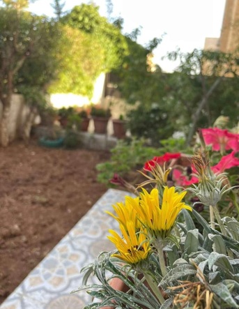 Amman, Apartments/Houses, JOD 12000/year,  Furnished,  3 BR,  Ground Fully Furinshed 3B Apartment With Garden In Swefieh 00962777688956