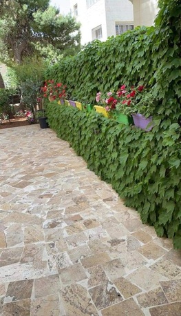 Amman, Apartments/Houses, JOD 12000/year,  Furnished,  3 BR,  Ground Fully Furinshed 3B Apartment With Outside Garden In Rabyia 00962777688956