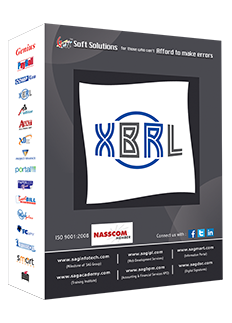 Jaipur, Software, INR 10000,  Gen XBRL Software