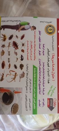 Riyadh, Cleaning, 0557855145 Deep Cleaning Pest Control Spray Cockroaches Ant Bed Bugs Solution