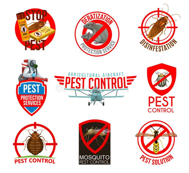 Riyadh, Cleaning, Cleaners Carpet &Sofa Clean Pest Control Spray 0557855145