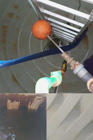 Riyadh, Cleaning, 0557855145 CLEANERS CARPET SOFA CLEAN PEST CONTROL SPRAY COCKROACHES ANT INSECT REPELLENT