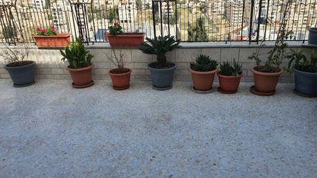Amman, Apartments/Houses, JOD 14000/year,  Furnished,  2 BR,  Rooftop Fully Furnished 2B Apart With Big Terrace In 2 Circle 00962777688956