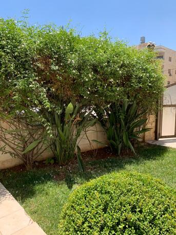 Amman, Apartments/Houses, JOD 25000/year,  4 BR,  Semi Furnished Ground Floor 4B Apart. With Big Garden N Der Ghbar 00962777688956