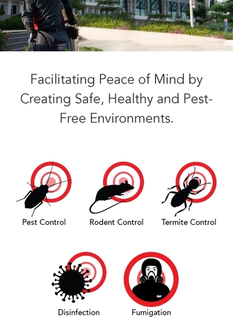 Riyadh, Pest Control, Pest Control Service Cockroaches Ant Insect Repellent Injection Powder Bed Bugs Solution Home Office Warehouse