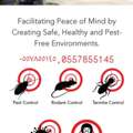 Safe Pest Control Service Cockroaches Ant Insect Repellent Injection Powder Bed Bugs Solution Best Price  0557855145
