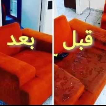 Riyadh, Cleaning, Carpet Sofa Clean Pest Control Service Cockroaches Bed Bugs Solution Best Price 0557855145