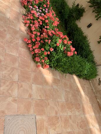 Amman, Apartments/Houses, JOD 19000/year,  Furnished,  4 BR,  Deplux Fully Furnished 4B With Terraces And Garden In Shemsani 00962777688956