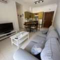 JOD 7000/year,  Furnished,  2 BR,  Ground Fully Furinshed 2B Apartment With Garden In Abdoun 00962777688956