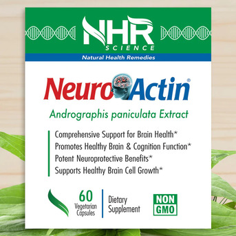 New York, Health & Beauty Items, USD 39,  NHR SCIENCE NeuroActin? - Supports New Brain Cell Formation For A Healthy Brain
