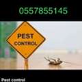 Professional Cleaners Carpet Sofa Pest Control&rsquo;s Best Price