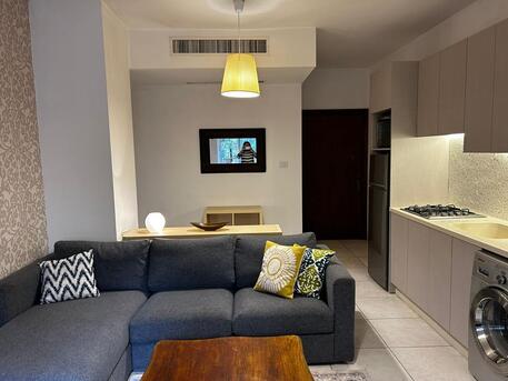 Amman, Apartments/Houses, JOD 6600/year,  Furnished,  2 BR,  Fully Furnished Two Bedroom Apartment In Jabal Webdeh 00962777688956