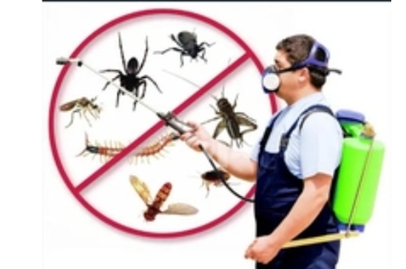 Riyadh, Pest Control, Professional ? Pest Control Service @ Best Price Company