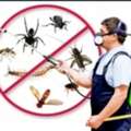 Professional ? Pest Control Service @ Best Price Company