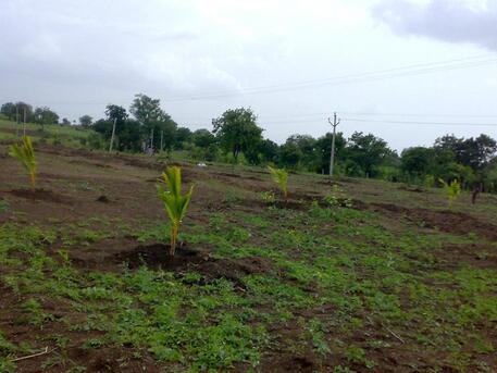 Hyderabad, Jobs, Urgently Required Horticulturist For A Plants Nursery