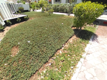 Zinj, Apartments/Houses, BHD 550/month,  3 BR,  SPACIOUS SEMI FURNISHED 3BHK APARTMENT FOR RENT IN MAHOOZ -: 38185065