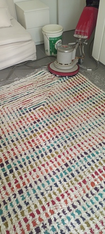 Riyadh, Household, PEST CONTROL SERVICES Best Price Ever