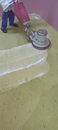 Riyadh, Cleaning, Professional Sofa Carpet Cleaner Pest Control Spray Best Price