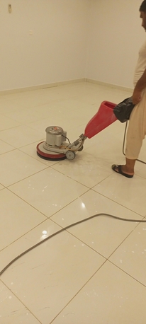 Riyadh, Cleaning, Best Price  Carpet Sofa Cleaner Pest Control Spray Best Price