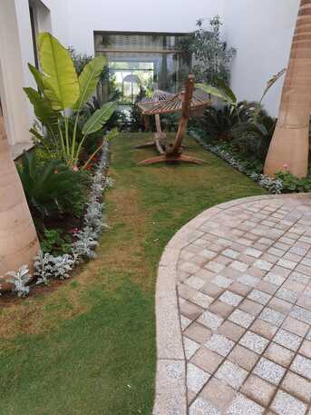 Riyadh, Construction, Garden Landscape Maintenance Paint & Swimming Pool Services - تنسيق حدائق