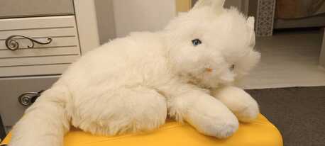 Olaya, Baby & Kid Stuff, SAR 69,  New Soft Stuffed Big Size Cat