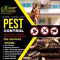 EXPERT PEST CONTROL⭐FUMIGATION & CLEANING SERVICES CONTACT:(055&bull;7240136)
