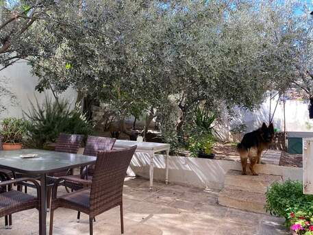 Amman, Apartments/Houses, JOD 12000/year,  3 BR,  Semi Furnished Ground Floor 3B Apart With Garden & Terrace N Jabal Amman 00962777688956