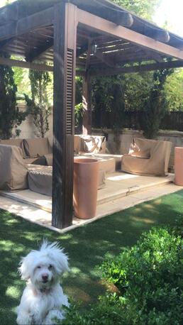 Amman, Apartments/Houses, JOD 40000/year,  Furnished,  3 BR,  Ground Fully Furinshed 3B Apartment With Garden In Swefieh 00962777688956