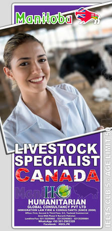 Jeddah, Immigration, Choose An Immigration Lawyer For Canadian Visa And Settlement