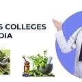 BAMS Admission 2026: ANA Ayurvedic Medical College Fees And Admission Procedure.