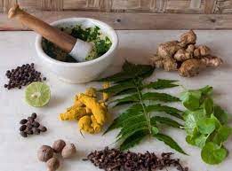 Mumbai, Career Counseling, BAMS Admission 2026:Bapu Ayurvedic Medical College Fees And Admission Procedure.