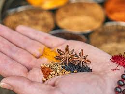 Mumbai, Career Counseling, BAMS Admission 2025:Sanjeevani Ayurvedic Medical College Fees And Admission Procedure.