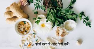 Mumbai, Career Counseling, BAMS Admission 2026:Maharana Pratap Ayurvedic Medical College Fees And Admission Procedure