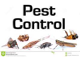 Manama, Cleaning, Special Promotions For Pest Control And Sanitation Services:
