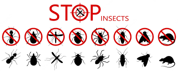 Manama, Cleaning, Pest Control And Sanitation Services Special Promotion