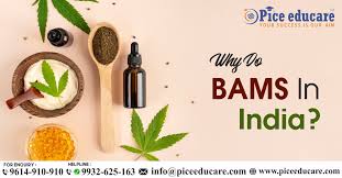 Mumbai, Career Counseling, BAMS Admission 2026:BAMS Admission In Ballia Fees & Admission Procedure.