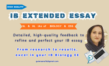 Islamabad, Lessons Offered, Expert Teacher In American Diploma Curriculum (AGS, DOMES)