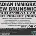New Brunswick Critical Worker Pilot Nominee Program