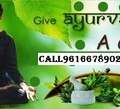 Divya Jyoti Ayurvedic Medical College & Hospital Modinagar