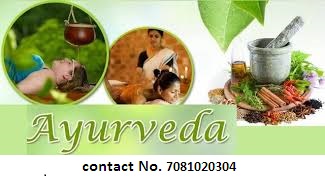Lucknow, Career Counseling, Mahaveer Ayurvedic Medical College Meerut UP